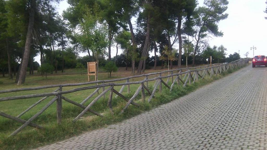 Апартаменты Un Nido Sul Mare Монтесильвано Экстерьер фото